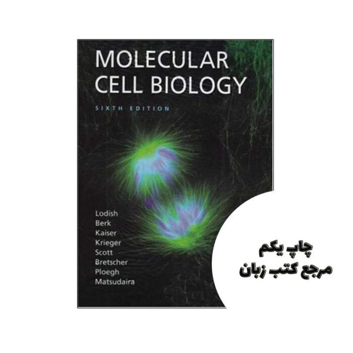 کتاب Molecular Cell Biology نویسنده by Harvey Lodish , Arnold Berk , Chris A Kaiser , Monty Krieger , Matthew P Scott , Anthony Bretscher , Hidde Ploegh , Paul Matsudaira