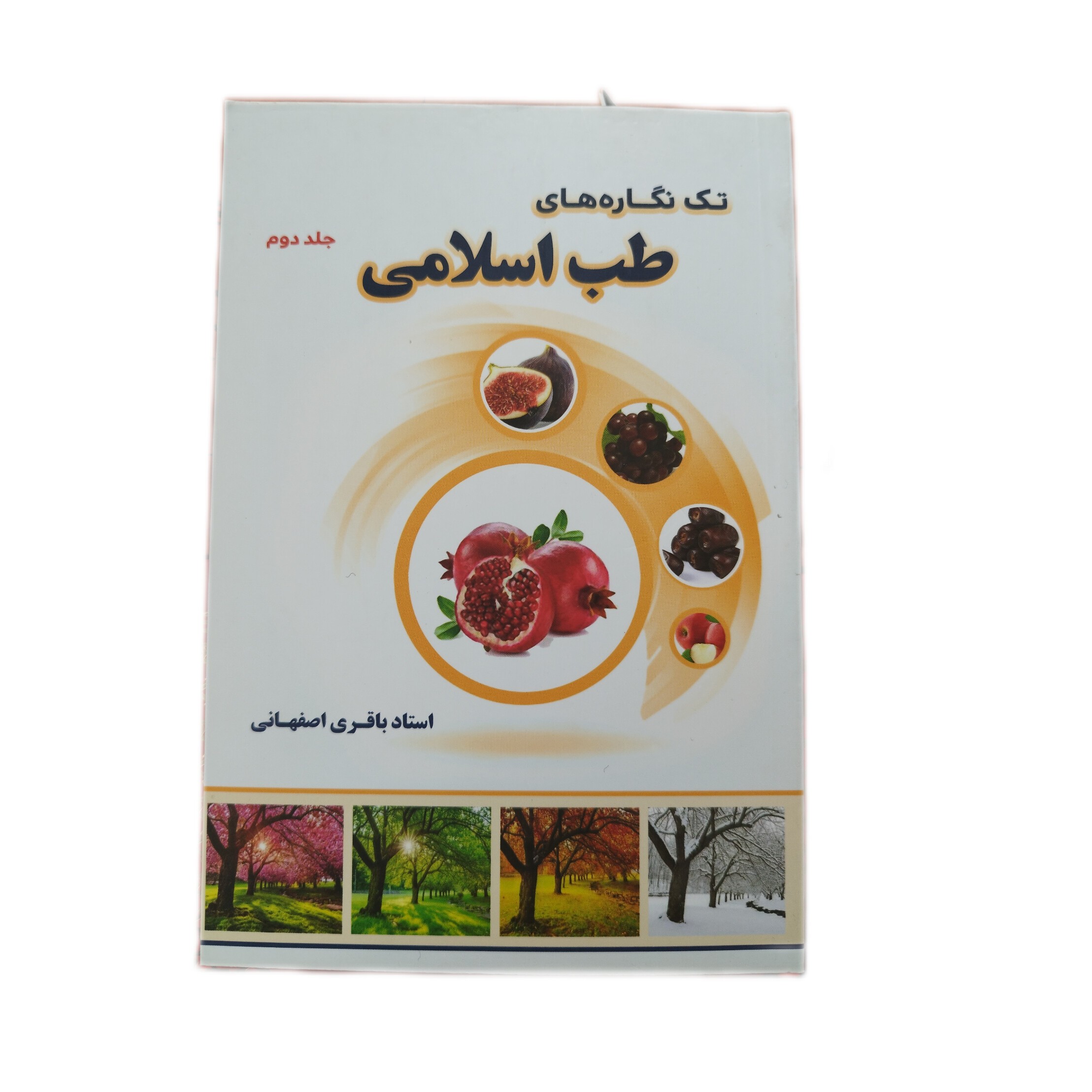 کتاب تک نگاره جلد 2 استاد باقری اصفهانی