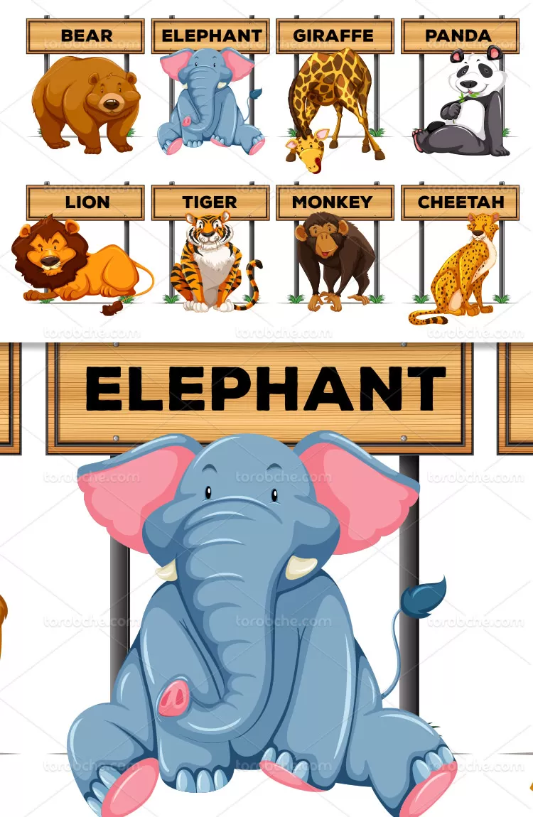 وکتور تابلو حیوانات باغ وحش | گرافیک با طعم تربچه