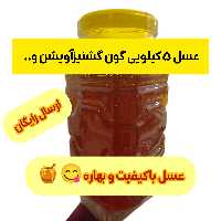 عسل بهاره مستقیم اززنبوردار برداشت1402 ارسال رایگان