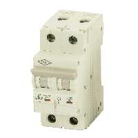 کلید مینیاتوری 32 آمپر دو فاز AC الکترو کاوه کد 32A-10KA-2P