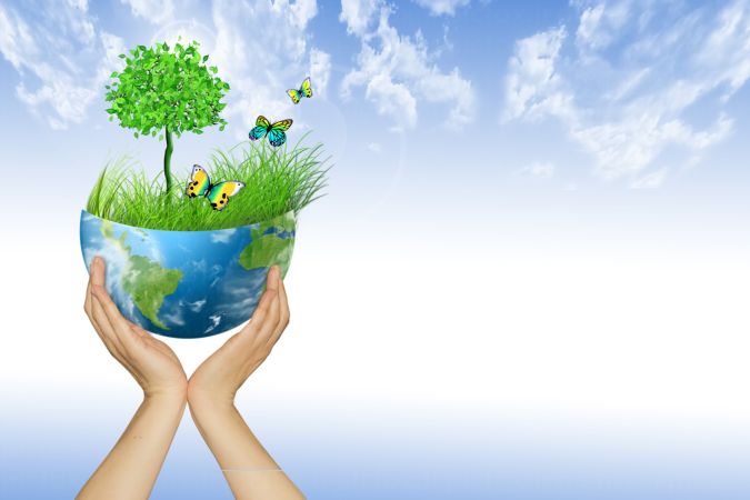 خرید و دانلود عکس Hand-Part-2 کد 24950 | پیک فاکس | Pic Fox