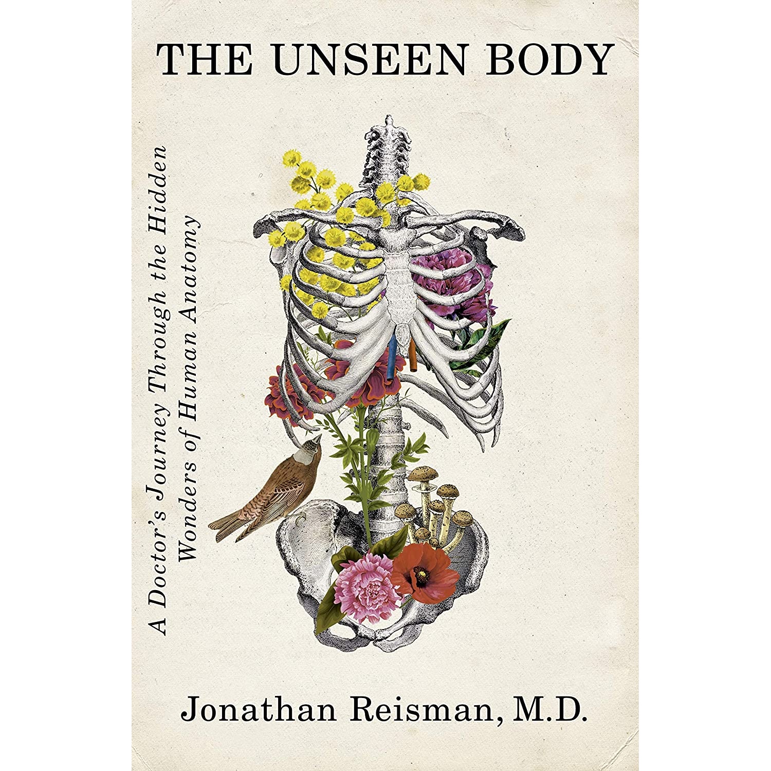 کتاب The Unseen Body اثر Jonathan Reisman انتشارات Flatiron Books