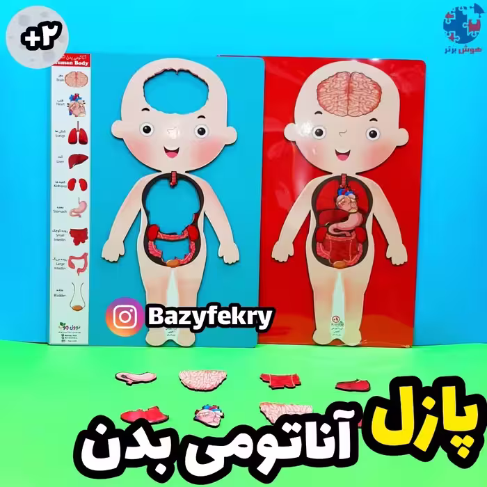 پازل چوبی سه بعدی اعضای بدن