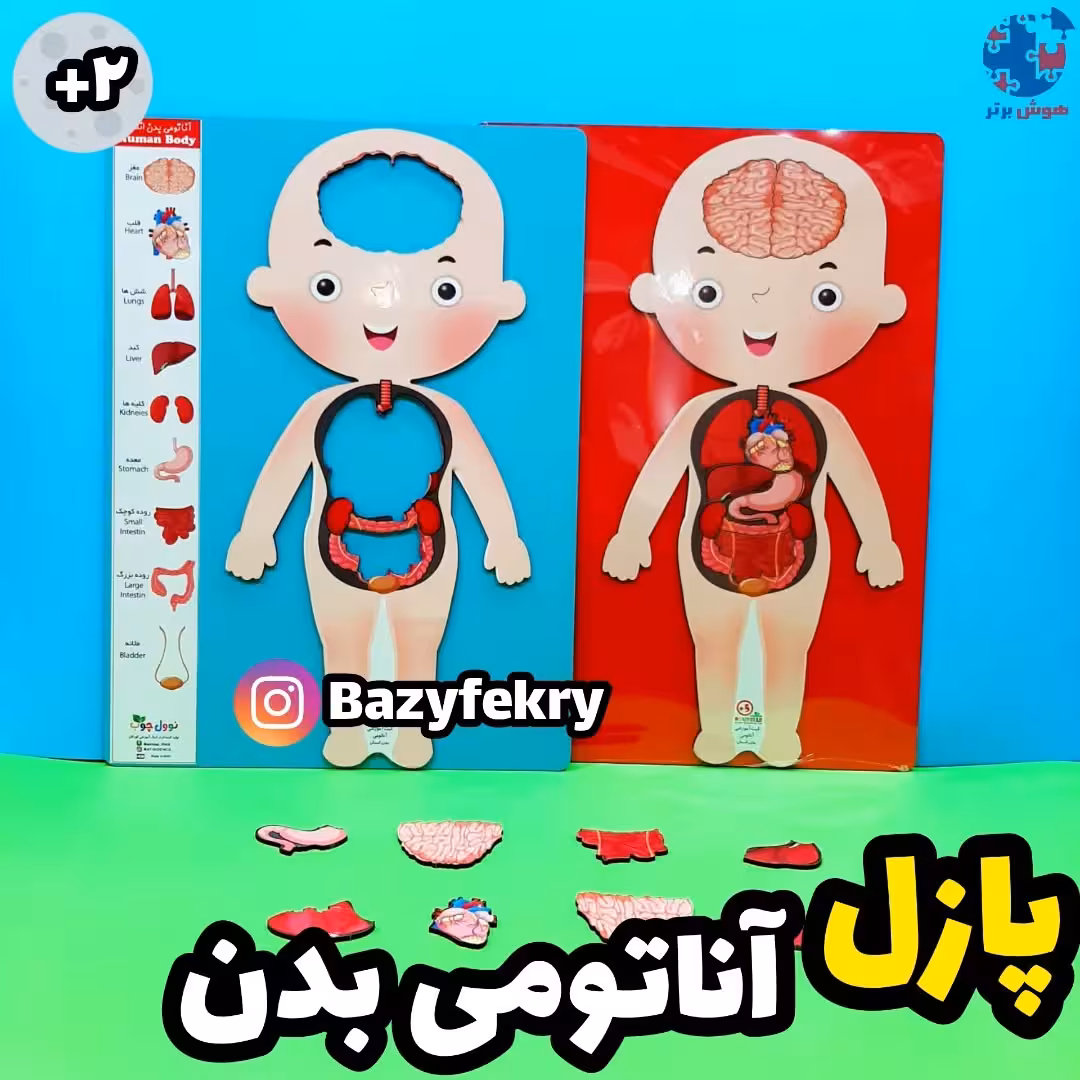 پازل چوبی سه بعدی اعضای بدن