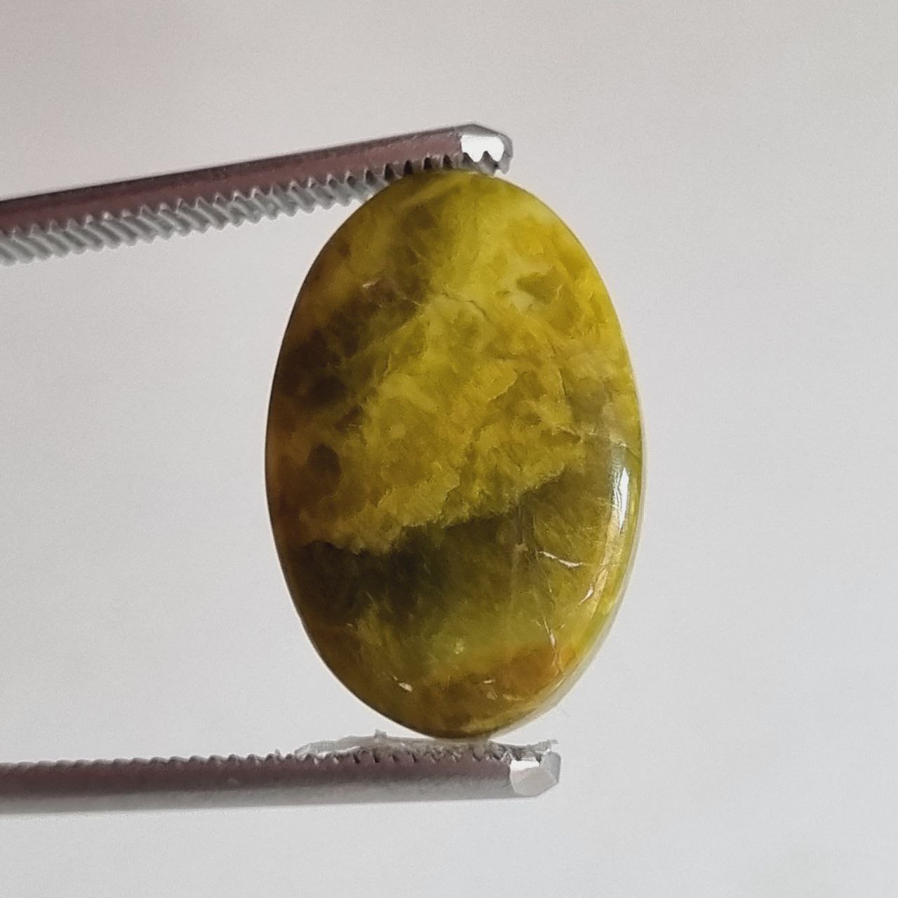 اوپال سبز بیضی شناسه 8801