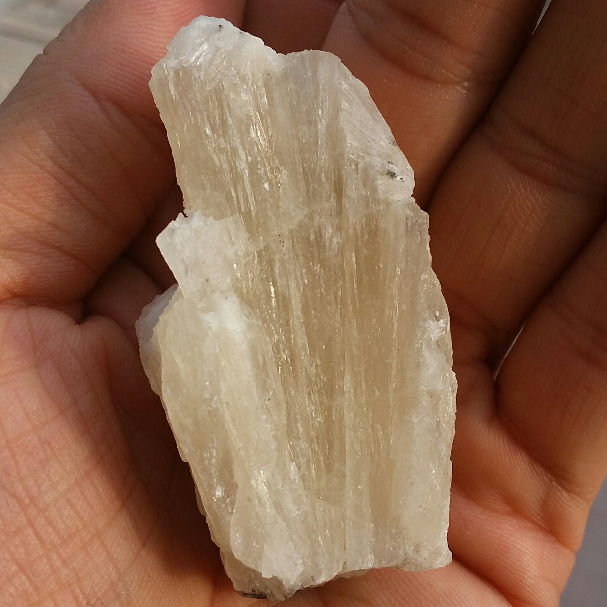 سنگ راف کلکسیونی کلسیت زرد نباتی 100 در صد طبیعی شاااهکار خلقت