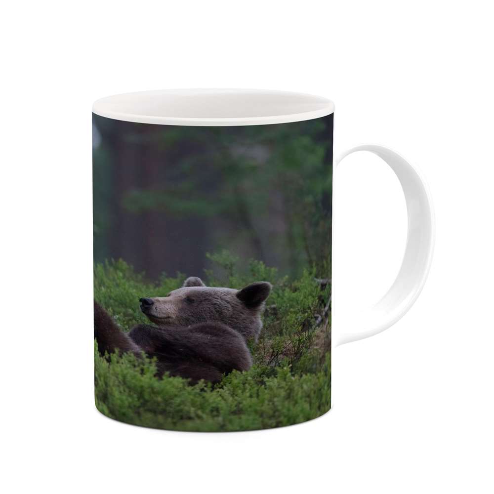 ماگ کاکتی طرح خرس مدل mgs14165