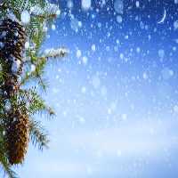 خرید و دانلود عکس Christmas_gift-7 کد 12411 | پیک فاکس | Pic Fox