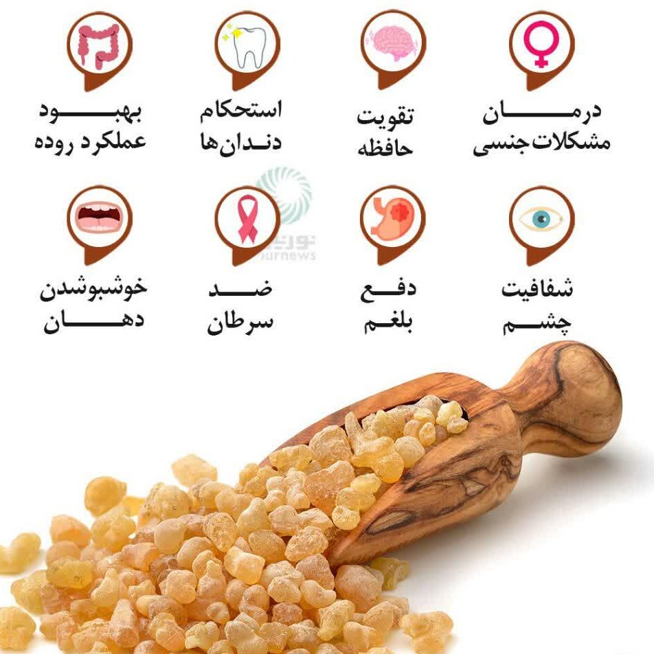 کندر برای تقویت حافظه بسته 50 گرمی
