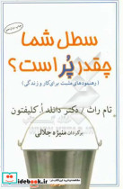 قیمت و خرید کتاب سطل شما چقدر پر است؟ اثر تام راث و دانلداکلیفتون | ایده بوک