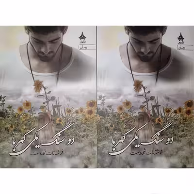 کتاب دو سنگ یکی کهربا اثر فرشته تات شهدوست انتشارات آراسبان دوره 2 جلدی