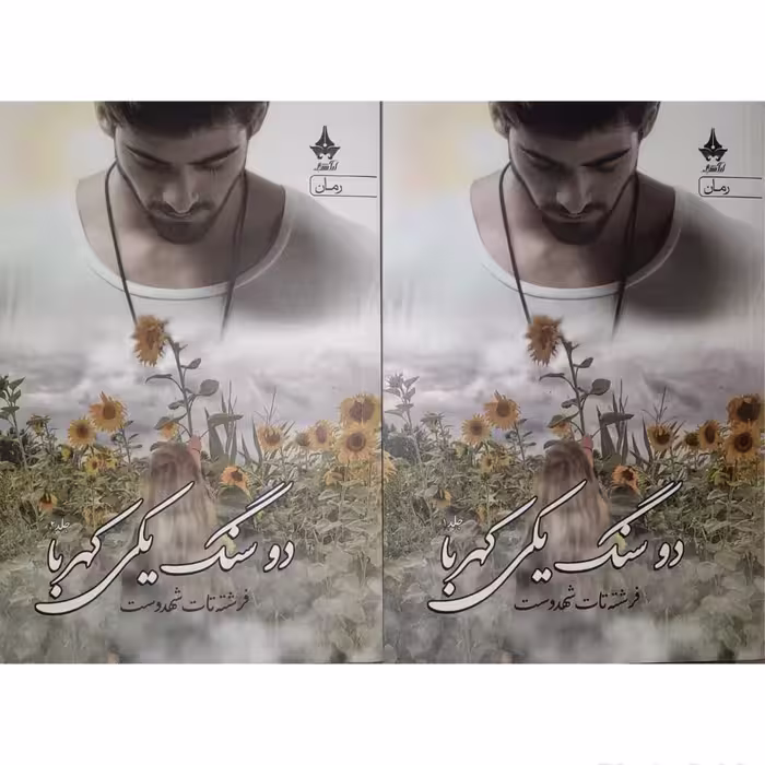 کتاب دو سنگ یکی کهربا اثر فرشته تات شهدوست انتشارات آراسبان دوره 2 جلدی
