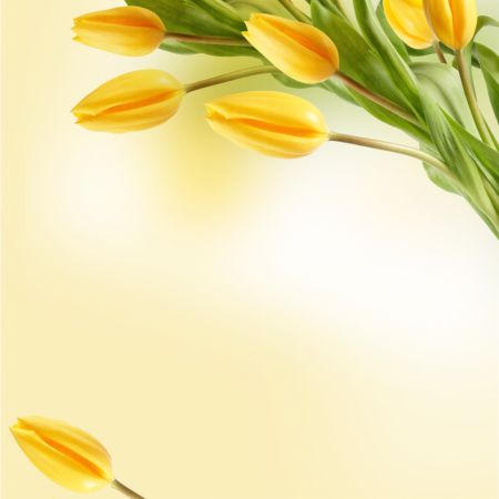 خرید و دانلود عکس IranBCS کد 28289 | پیک فاکس | Pic Fox