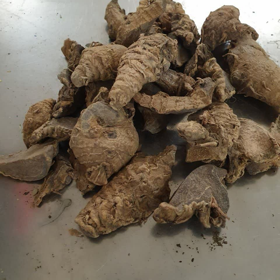 زرنباد 50 گرم