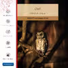 برچسب پوششی ماهوت مدل Owl مناسب برای تبلت اپل iPad mini (GEN 5) 2019 A2133