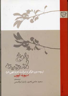 بلوغ و مدرنیته