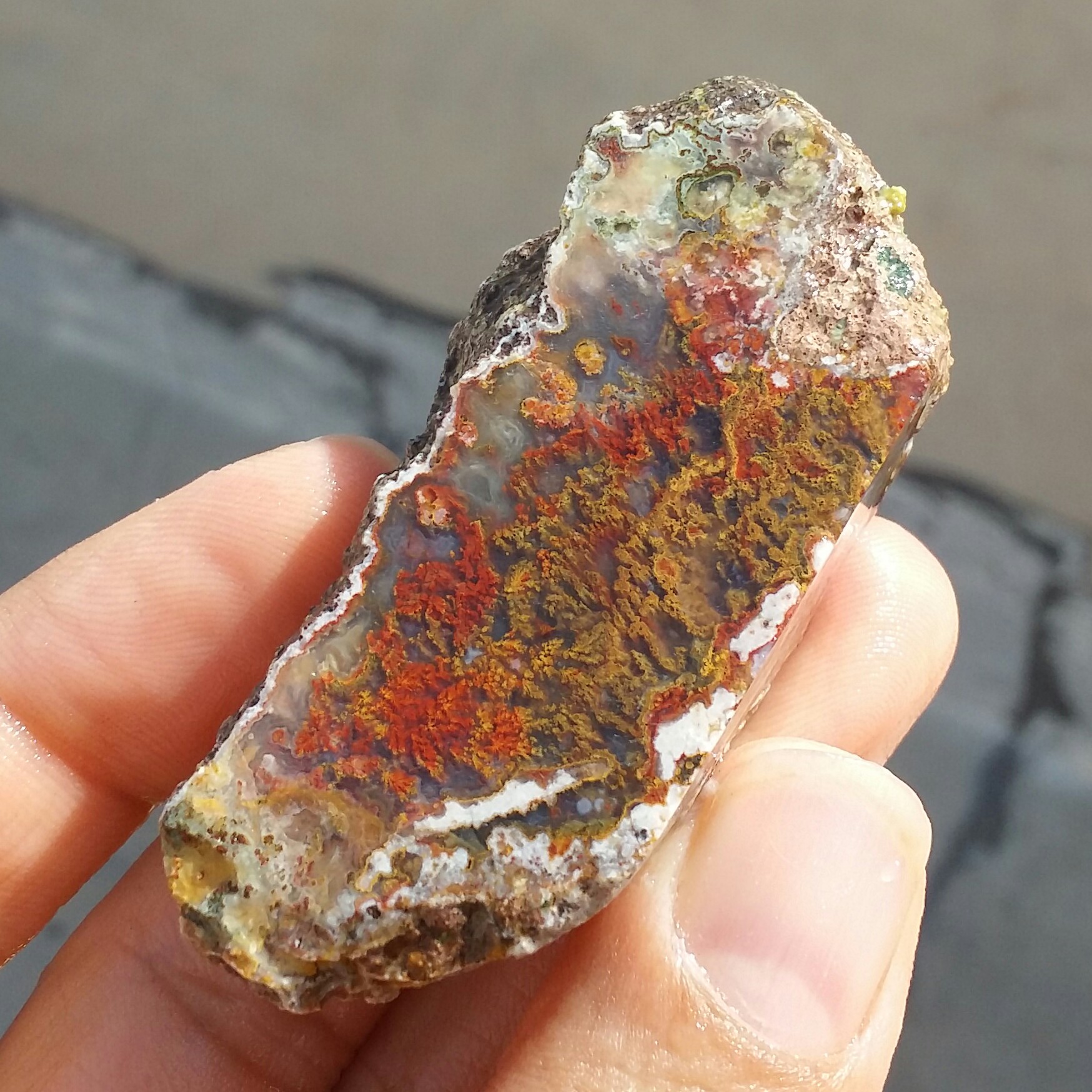 اسلایس سنگ راف عقیق شجر منظره هفت رنگ بی نظیر 
 100 در 100 طبیعی  
کد 11679