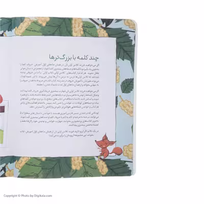 کتاب کلاس اولی کتاب اولی توت در سبد اثر معصومه یزدانی نشر افق
