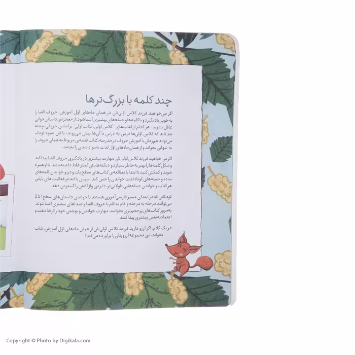 کتاب کلاس اولی کتاب اولی توت در سبد اثر معصومه یزدانی نشر افق