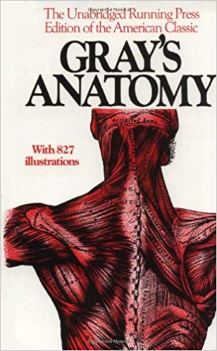  دانلود کتاب Anatomy Of The Human Body, 1936 - دانلود کتاب های دانشگاهی