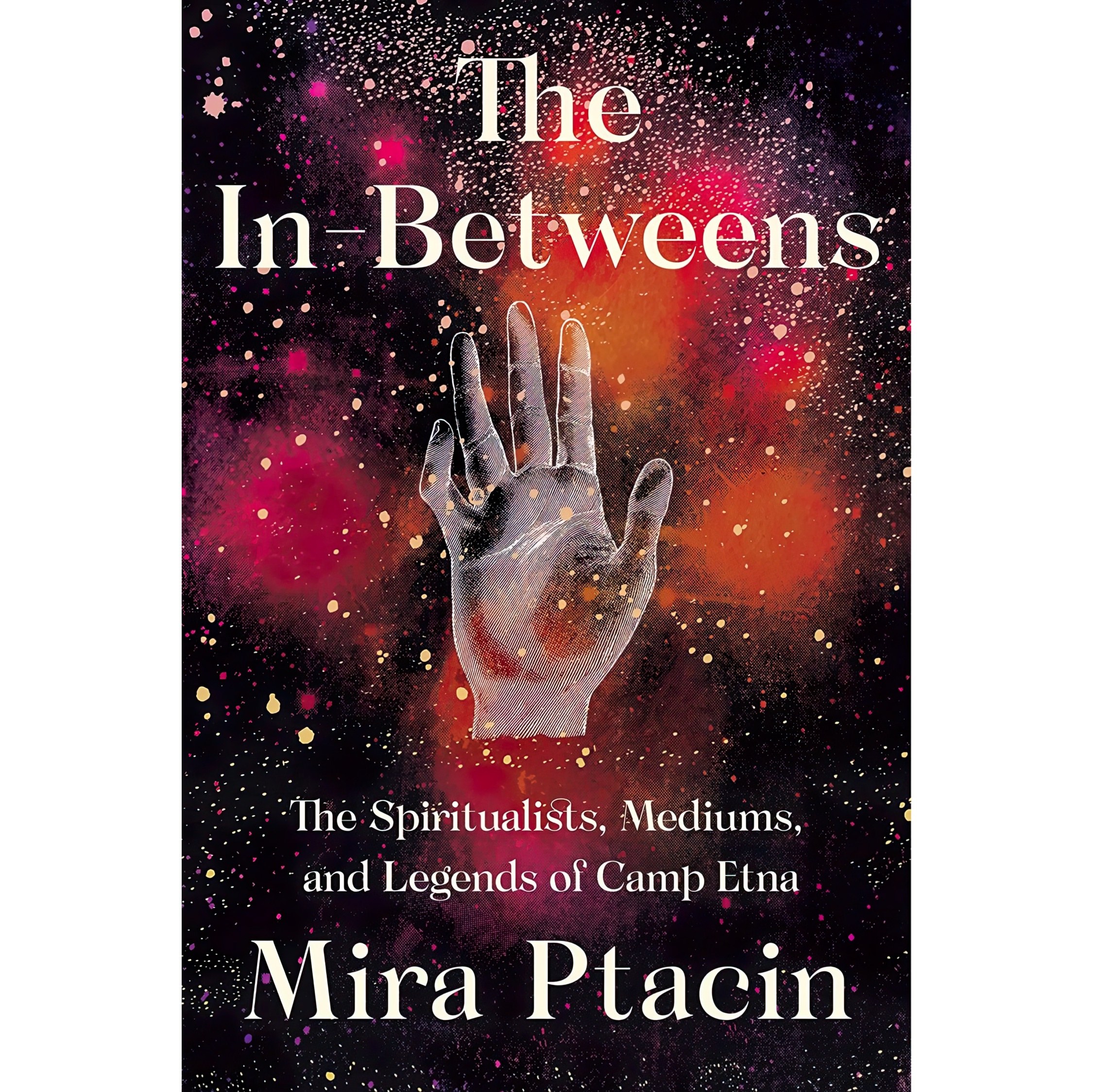 کتاب زبان اصلی The InBetweens اثر Mira Ptacin انتشارات Liveright