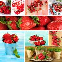 خرید و دانلود عکس Food-Part-15 کد 19143 | پیک فاکس | Pic Fox