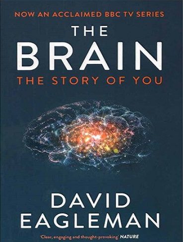 The Brain کتاب مغز (متن کامل)