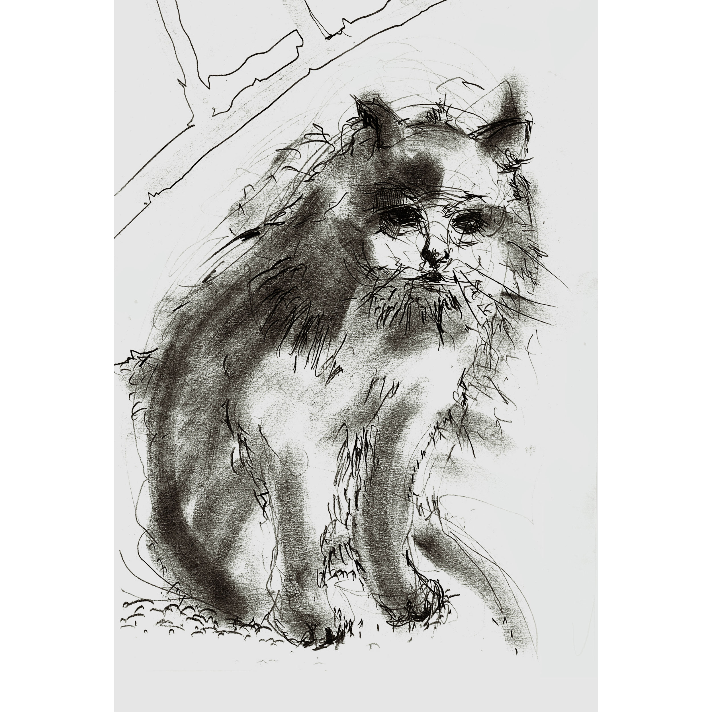 تابلو شاسی طرح سیاه قلم گربه مدل T2144