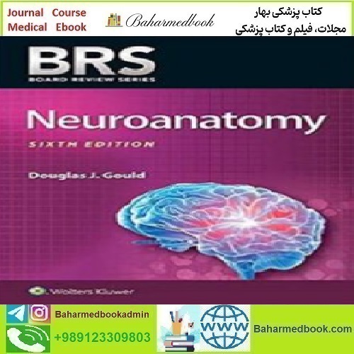 BRS Neuroanatomy 2020 TRUE PDF price 1€ - کتاب پزشکی بهار