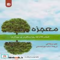 قیمت و خرید کتاب معجزه نشر پیکان اثر جو ویتالی | ایده بوک