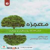 قیمت و خرید کتاب معجزه نشر پیکان اثر جو ویتالی | ایده بوک