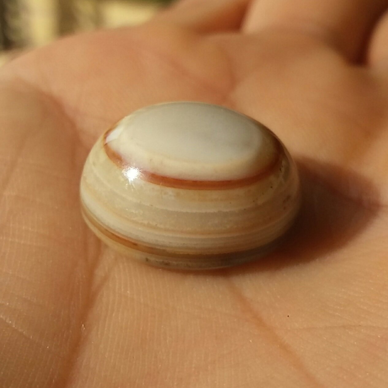 نگین عقیق چند پوست منظم محشر شاهکار خلقت 100درصد طبیعی