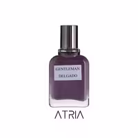 عطر جیبی دلگادو جیوانچی جنتلمن 25 میل - فروشگاه اینترنتی آتریا