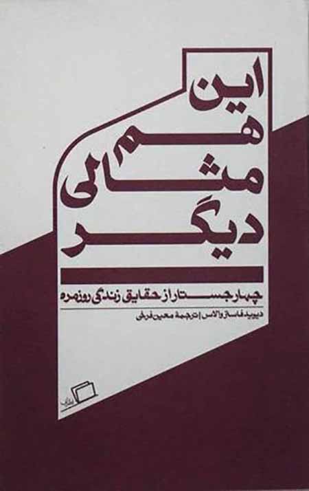 این هم مثالی دیگر (چهار جستار از حقایق زندگی روزمره)