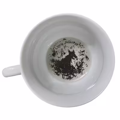 فنجان مدل هری پاتر