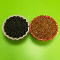 پک خاکشیر(500گرمی) و تخم شربتی دانه ریز (200گرمی)