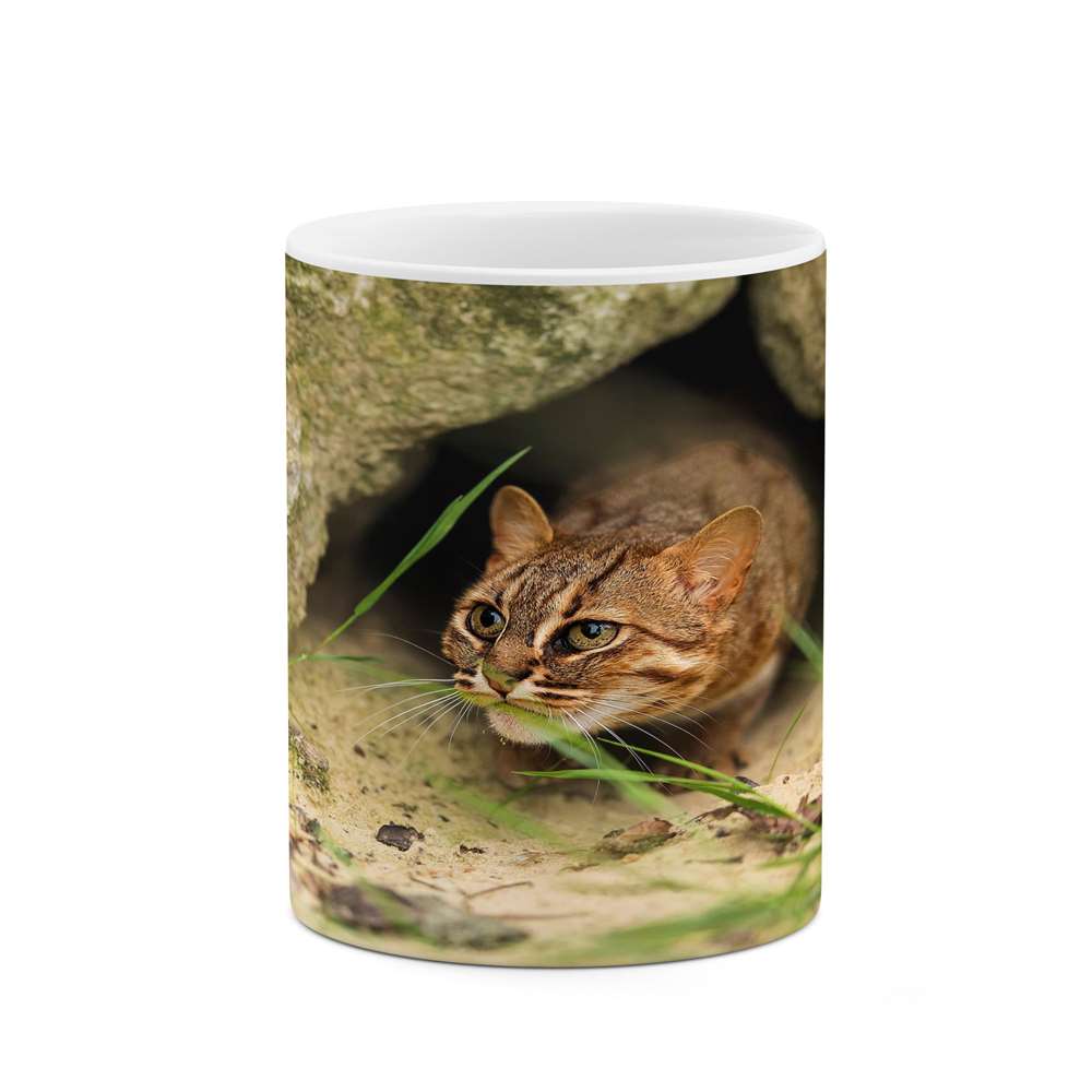 ماگ کاکتی طرح گربه مدل mgs16832