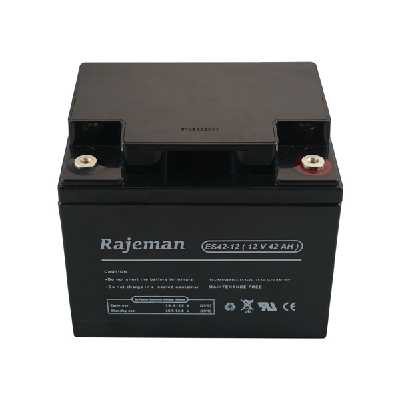باتری یو پی اس 12 ولت 42 آمپر ساعت راژمان مدل ES42-12