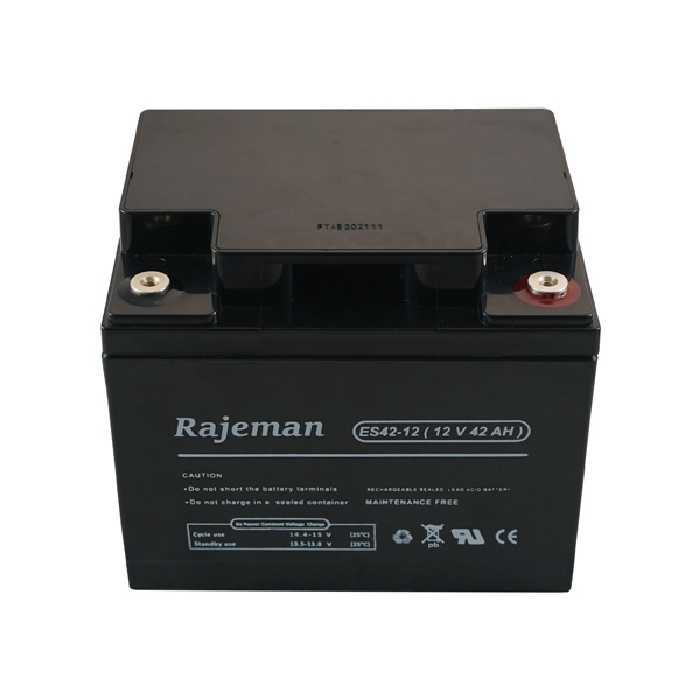 باتری یو پی اس 12 ولت 42 آمپر ساعت راژمان مدل ES42-12