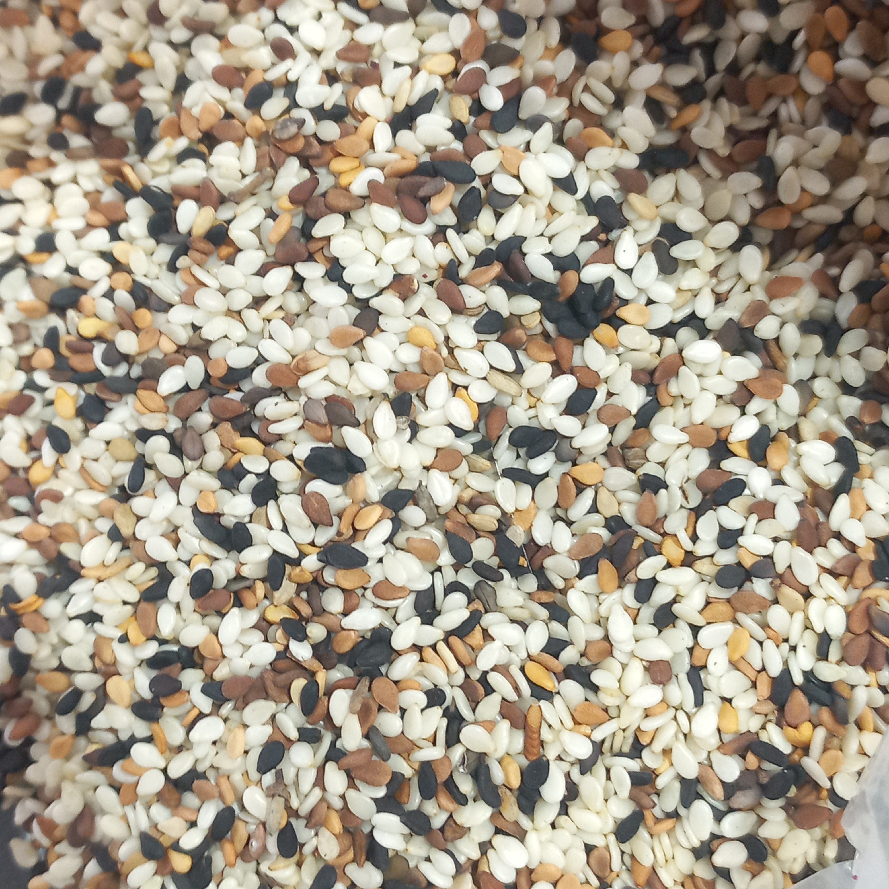 کنجد ترکیبی  200گرمی(ترکیب کنجد سفید،مشگی،قهوه ای)