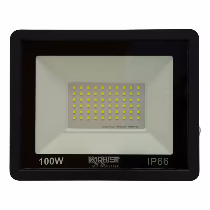 پرژکتور 100 وات کاربیست مدل SMD M کد IP66