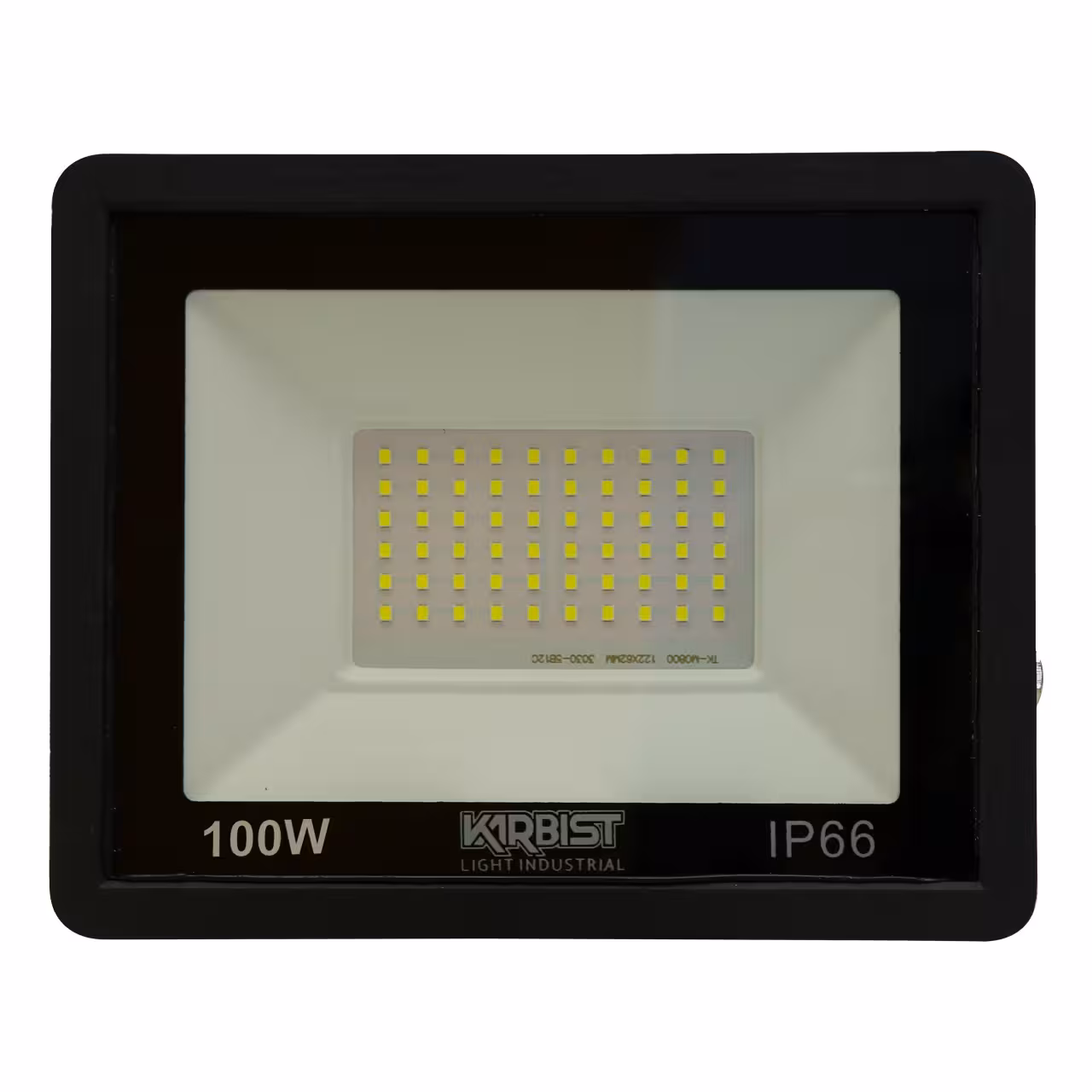 پرژکتور 100 وات کاربیست مدل SMD M کد IP66