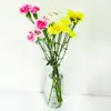 گلدان شیشه ای مدل v250 مجموعه دو عددی