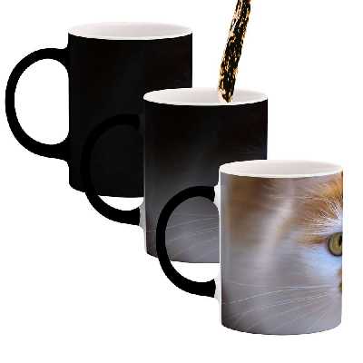 ماگ حرارتی کاکتی طرح گربه مدل mgh16660