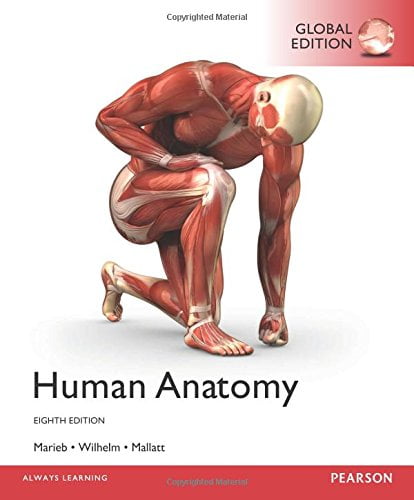  دانلود کتاب Human Anatomy, 8th ed, 2017 - دانلود کتاب های دانشگاهی