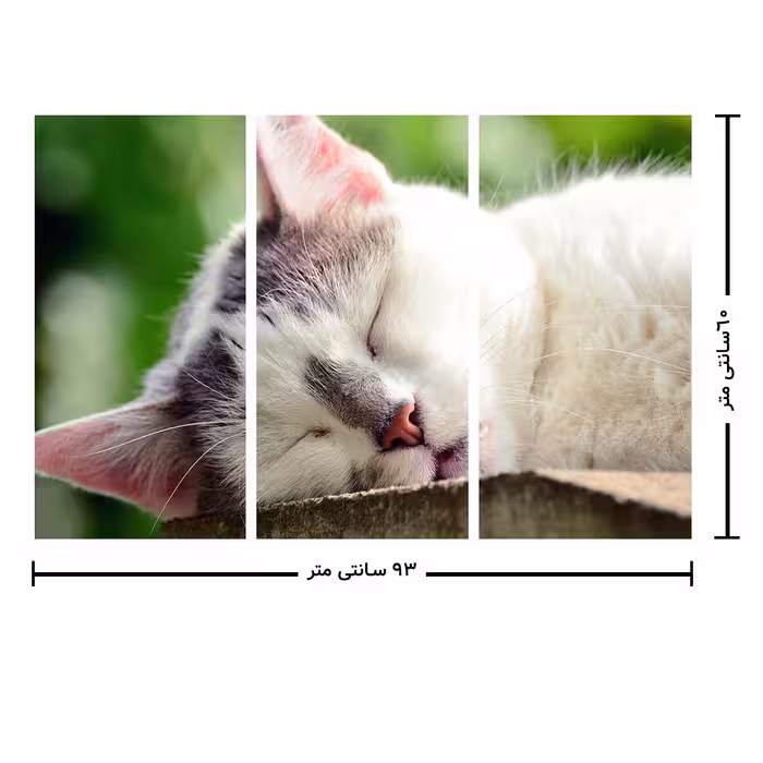 تابلو طرح گربه خوابالو کد RA350009 مجموعه 3 عددی