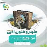علوم و فنون ادبی یازدهم میکرو گاج - سیب ترش - SibTorsh خرید با تخفیف ویژه