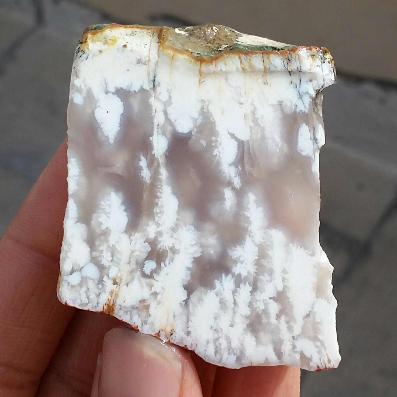 اسلایس سنگ راف عقیق شجر شکوفه سفید با قابلیت ساخت نگین 
 100 در 100 طبیعی  
کد 11760