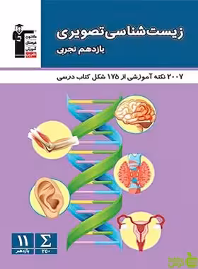 زیست شناسی تصویری یازدهم تجربی قلم چی - سیب ترش - SibTorsh خرید با تخفیف